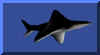 shark3.jpg (9585 bytes)