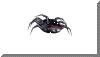 spider.gif (8396 bytes)